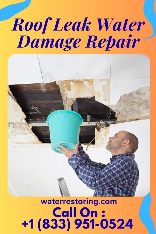 Roof Leak Water Damage Repair in Clinton, MO